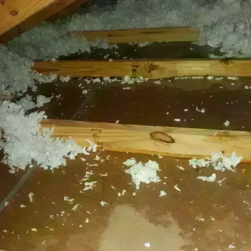 Attic Water Damage in Panama City, FL