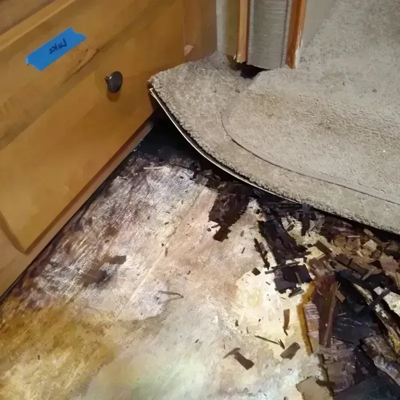 Wood Floor Water Damage in Panama City, FL